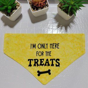 Halloween Pet Bandana